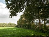 Pilot landschapsbeheer 2.0 in uitvoering